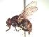  ( - BUIC-CHU0540)  @13 [ ] Unspecified (default): All Rights Reserved  Unspecified Unspecified