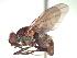  ( - BUIC-CHU0545)  @13 [ ] Unspecified (default): All Rights Reserved  Unspecified Unspecified