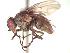 ( - BUIC-CHU0548)  @13 [ ] Unspecified (default): All Rights Reserved  Unspecified Unspecified