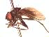  (Spilogona trianguligera - BUIC-CHU0772)  @13 [ ] Unspecified (default): All Rights Reserved  BUIC-CHU0772 Unspecified