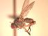  ( - BUIC-CHU0800)  @13 [ ] Unspecified (default): All Rights Reserved  BUIC-CHU0800 Unspecified
