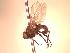  ( - BUIC-CHU0820)  @12 [ ] Unspecified (default): All Rights Reserved  BUIC-CHU0820 Unspecified