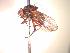  ( - BUIC-CHU1010)  @11 [ ] Unspecified (default): All Rights Reserved  Unspecified Unspecified