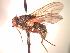  ( - BUIC-CHU1011)  @11 [ ] Unspecified (default): All Rights Reserved  Unspecified Unspecified