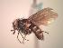  ( - BUIC-CHU1057)  @12 [ ] Unspecified (default): All Rights Reserved  Unspecified Unspecified