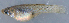 ( - MXIV0309)  @12 [ ] Unspecified (default): All Rights Reserved  Unspecified Unspecified