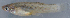  ( - MXIV0311)  @13 [ ] Unspecified (default): All Rights Reserved  Unspecified Unspecified