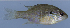  ( - MXIV0345)  @13 [ ] Unspecified (default): All Rights Reserved  Unspecified Unspecified