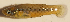  ( - MXIV0359)  @13 [ ] Unspecified (default): All Rights Reserved  Unspecified Unspecified