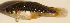  ( - MXIV0362)  @12 [ ] Unspecified (default): All Rights Reserved  Unspecified Unspecified