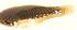  ( - MXIV0364)  @12 [ ] Unspecified (default): All Rights Reserved  Unspecified Unspecified