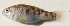  ( - MXIV0372)  @12 [ ] Unspecified (default): All Rights Reserved  Unspecified Unspecified
