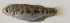  ( - MXIV0376)  @12 [ ] Unspecified (default): All Rights Reserved  Unspecified Unspecified