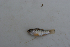  ( - MXIV0709)  @11 [ ] Unspecified (default): All Rights Reserved  Unspecified Unspecified