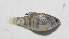  ( - MXIV0787)  @13 [ ] Unspecified (default): All Rights Reserved  Unspecified Unspecified