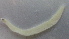  ( - MFL214)  @12 [ ] Unspecified (default): All Rights Reserved  Jose Angel Cohuo Unspecified