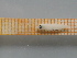  ( - MFL566)  @12 [ ] Unspecified (default): All Rights Reserved  Unspecified Unspecified