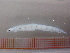  ( - MFLIV1696)  @12 [ ] Unspecified (default): All Rights Reserved  Jose Angel Cohuo Unspecified