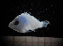  ( - MFLIV2003)  @12 [ ] Unspecified (default): All Rights Reserved  Jose Angel Cohuo Unspecified