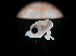  ( - MFLIV2230)  @12 [ ] Unspecified (default): All Rights Reserved  Jose Angel Cohuo Unspecified