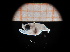  ( - MFLIV2237)  @12 [ ] Unspecified (default): All Rights Reserved  Unspecified Unspecified