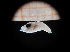 ( - MFLIV2254)  @12 [ ] Unspecified (default): All Rights Reserved  Unspecified Unspecified