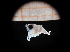  ( - MFLIV2255)  @12 [ ] Unspecified (default): All Rights Reserved  Unspecified Unspecified