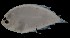  ( - MFLS3861)  @12 [ ] Unspecified (default): All Rights Reserved  Jose Angel Cohuo Unspecified