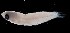  ( - MFLS3863)  @12 [ ] Unspecified (default): All Rights Reserved  Jose Angel Cohuo Unspecified