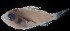  ( - MFLS3889)  @13 [ ] Unspecified (default): All Rights Reserved  Jose Angel Cohuo Unspecified