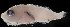  ( - MFLS3918)  @11 [ ] Unspecified (default): All Rights Reserved  Jose Angel Cohuo Unspecified