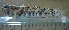  (Bathygobius mystacium - MFLV2394)  @13 [ ] Unspecified (default): All Rights Reserved  Jose Angel Cohuo Unspecified