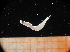  ( - MFLV2510)  @12 [ ] Unspecified (default): All Rights Reserved  Jose Angel Cohuo Unspecified