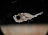  ( - MFLV2523)  @12 [ ] Unspecified (default): All Rights Reserved  Jose Angel Cohuo Unspecified
