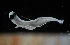  ( - MFLV2571)  @12 [ ] Unspecified (default): All Rights Reserved  Jose Angel Cohuo Unspecified