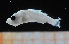  ( - MFLV2572)  @12 [ ] Unspecified (default): All Rights Reserved  Jose Angel Cohuo Unspecified
