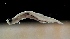  ( - MFLV2590)  @13 [ ] Unspecified (default): All Rights Reserved  Jose Angel Cohuo Unspecified