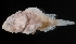  ( - MFLV4313)  @11 [ ] Unspecified (default): All Rights Reserved  Jose Angel Cohuo Unspecified