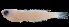  (Cryptotomus - MFLVI3033)  @14 [ ] Unspecified (default): All Rights Reserved  Jose Angel Cohuo Unspecified