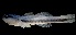  ( - MFLVI3082)  @14 [ ] Unspecified (default): All Rights Reserved  Jose Angel Cohuo Unspecified