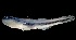  ( - MFLVI3083)  @13 [ ] Unspecified (default): All Rights Reserved  Jose Angel Cohuo Unspecified