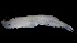  ( - MFLVI3120)  @12 [ ] Unspecified (default): All Rights Reserved  Jose Angel Cohuo Unspecified