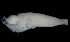  ( - MFLVI3167)  @12 [ ] Unspecified (default): All Rights Reserved  Jose Angel Cohuo Unspecified