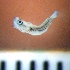  ( - MFLVI3212)  @12 [ ] Unspecified (default): All Rights Reserved  Jose Angel Cohuo Unspecified