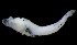  ( - MFLVI3287)  @12 [ ] Unspecified (default): All Rights Reserved  Jose Angel Cohuo Unspecified