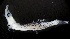  ( - MFLVI3290)  @12 [ ] Unspecified (default): All Rights Reserved  Jose Angel Cohuo Unspecified