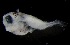  ( - MFLVI3304)  @12 [ ] Unspecified (default): All Rights Reserved  Jose Angel Cohuo Unspecified