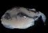 ( - MFLVI3320)  @12 [ ] Unspecified (default): All Rights Reserved  Jose Angel Cohuo Unspecified