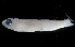  ( - MFLVI3323)  @12 [ ] Unspecified (default): All Rights Reserved  Jose Angel Cohuo Unspecified