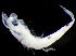  ( - MFLVI3361)  @12 [ ] Unspecified (default): All Rights Reserved  Jose Angel Cohuo Unspecified